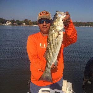 Alex Perez with a nice 27" keeper Rockfish - Chesapeake Bay Fishing Report Anglers Sport Center