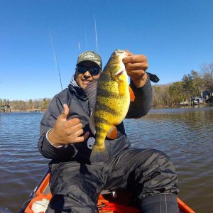 Yellow Perch caught in the Magothy river by Alex Perez with Anglers Sport Center