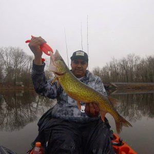 Pickerel Fishing in the Chesapeake Bay area Anglers Sport Center